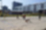 Studio Vinke | Delflandplein Placemaking, Amsterdam