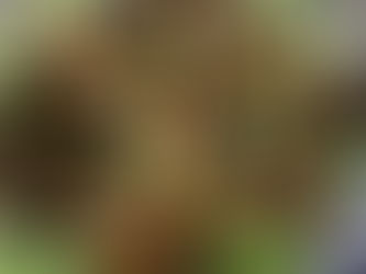  Vegan Mushroom Salad [Thanks to Virginia]