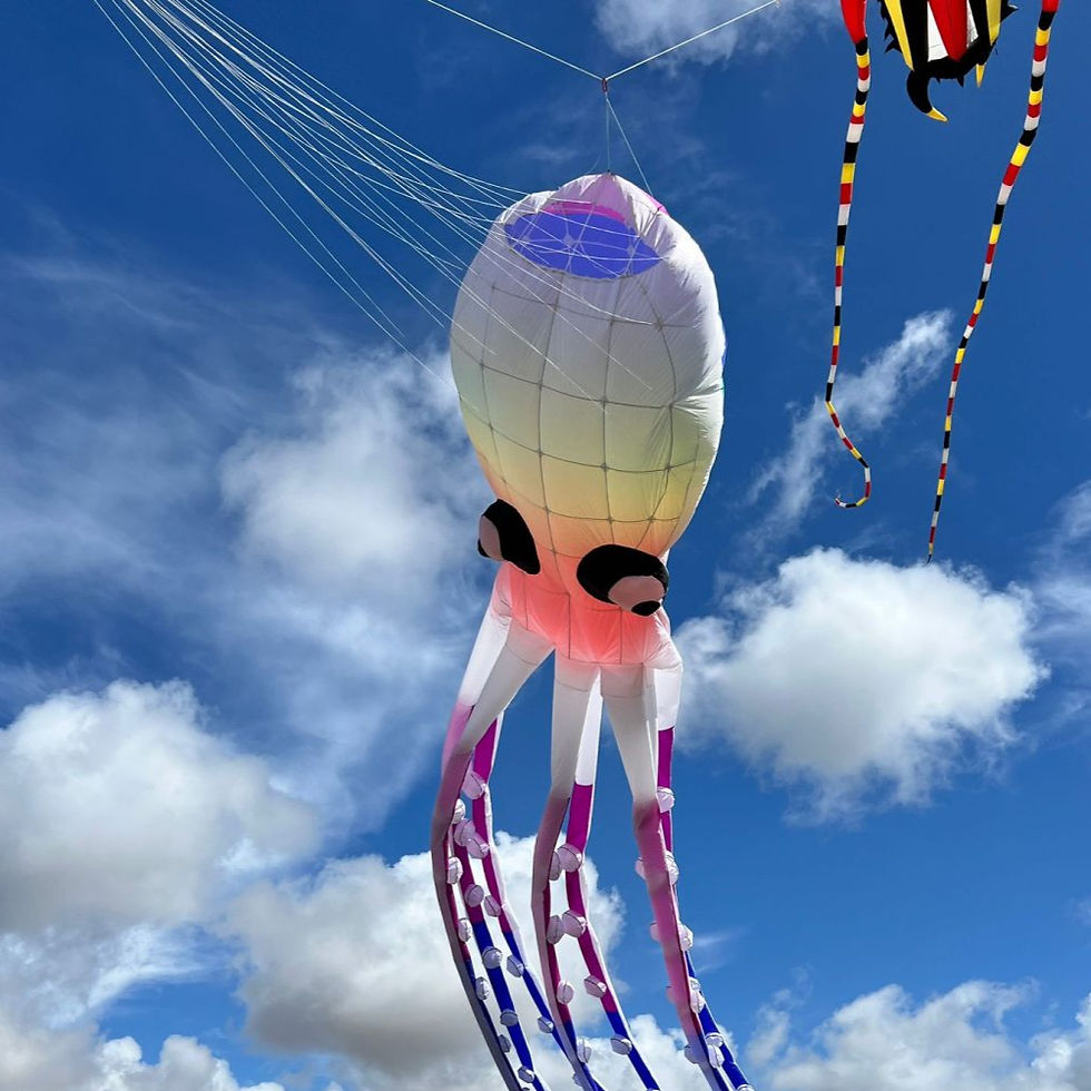 Kite Festival - 6th June