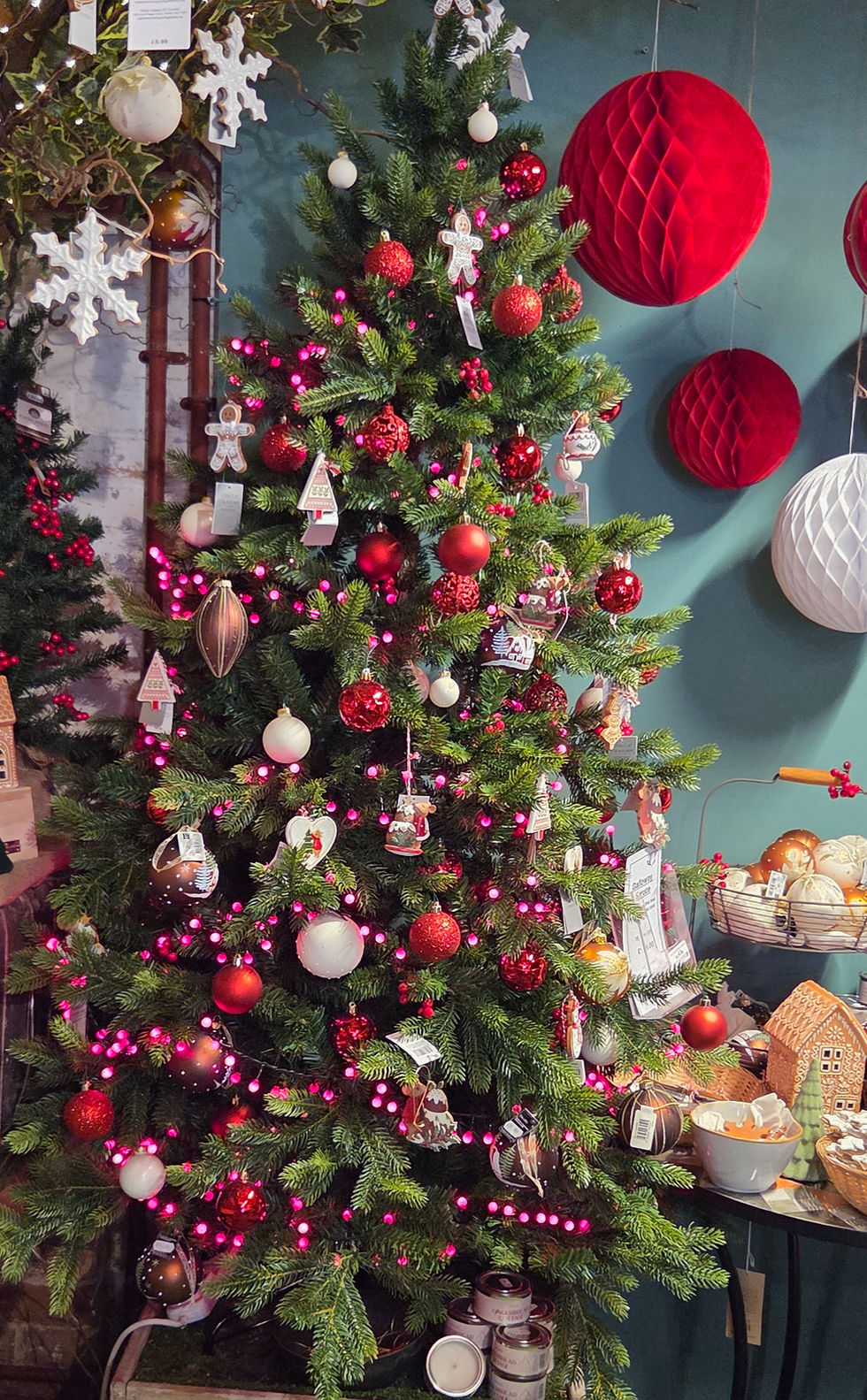 Merry Christmas Tree!