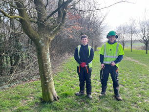 Holmead Walk Gets A Long-Awaited Makeover For Spring