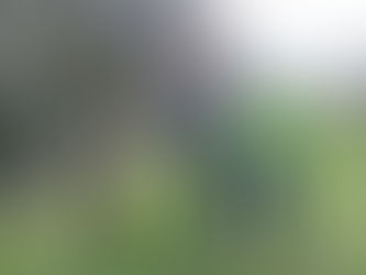 Holmead Walk Gets A Long-Awaited Makeover For Spring