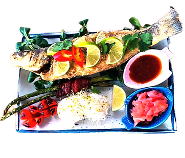 WhatsApp Image 2026-02-18 at 14_edited.png