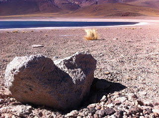 Lagunas Altiplânicas, Atacama/Chile