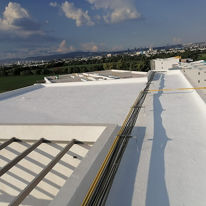 WhatsApp Image 2024-12-22 at 8.10.03 PM.jpeg