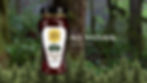 Thumbnail: Black Forest Honey