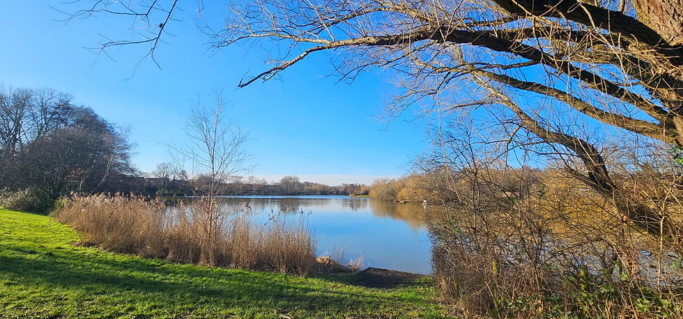Spotlight: Goldsworth Park Lake