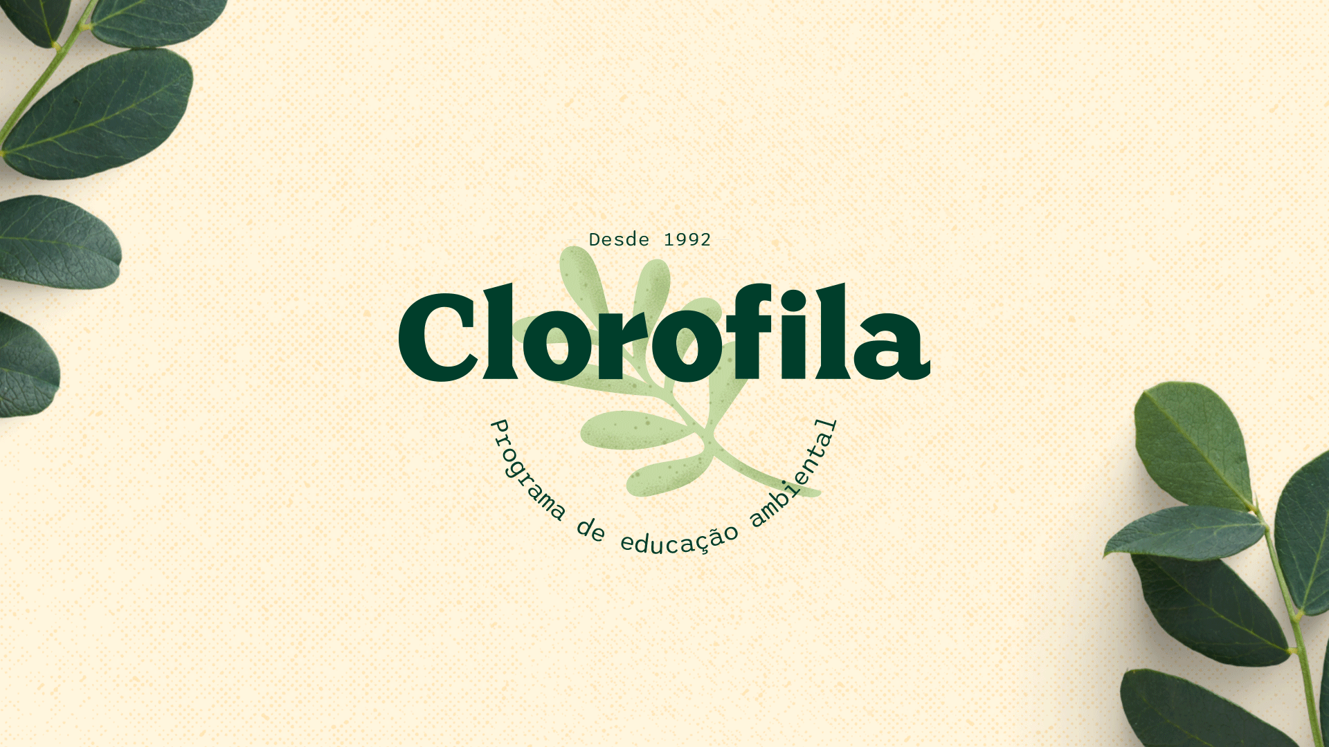 clorofila-animação-logotipo