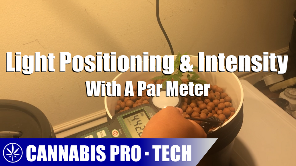 CPT How To Measure Grow Light Intensity & Light Positioning