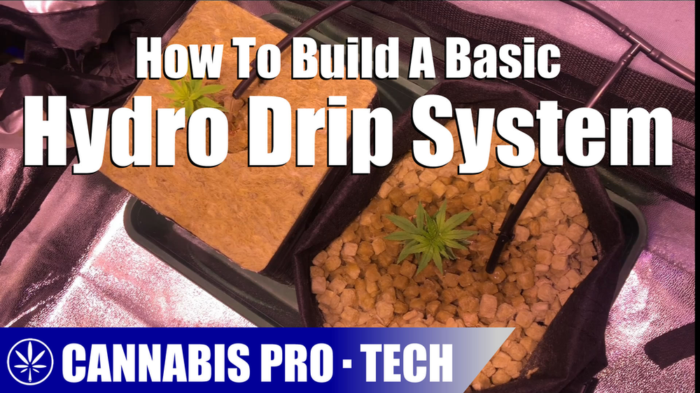 How To Build A Basic Hydroponic Drip System