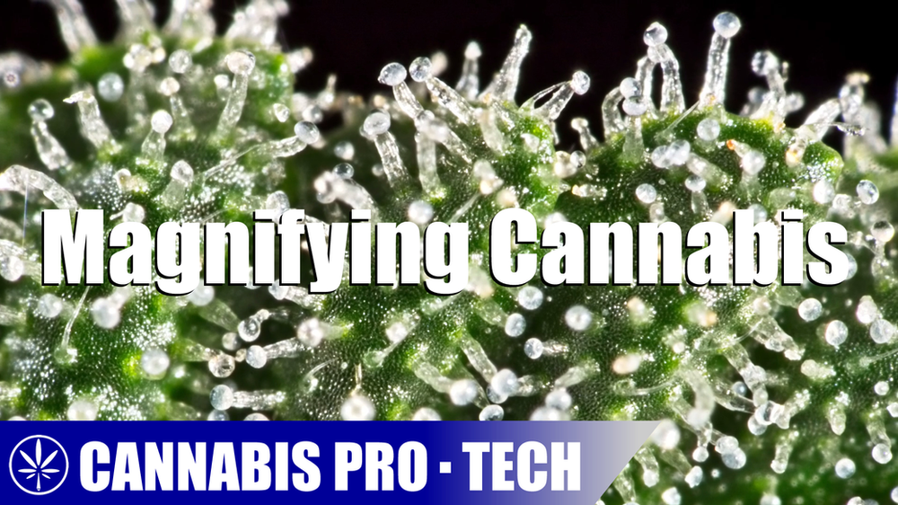 Cannabis Pro・Tech Magnifying Cannabis