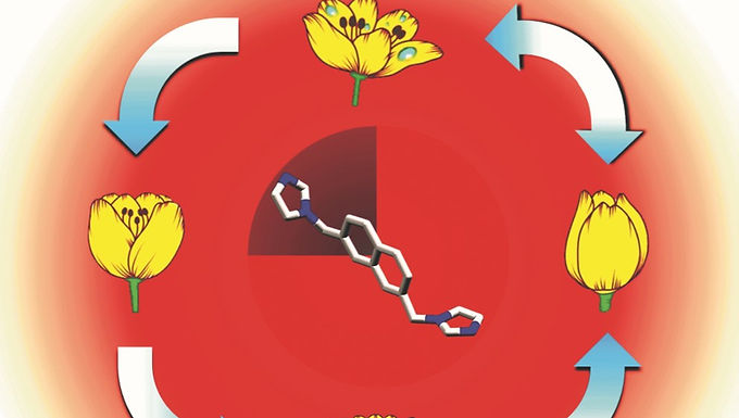 Our research was featured on the cover of CrystEngComm!
