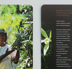 Vanille-DP-roots_edited