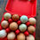 Thumbnail: 1 Dozen Pasture Raised Chicken Eggs