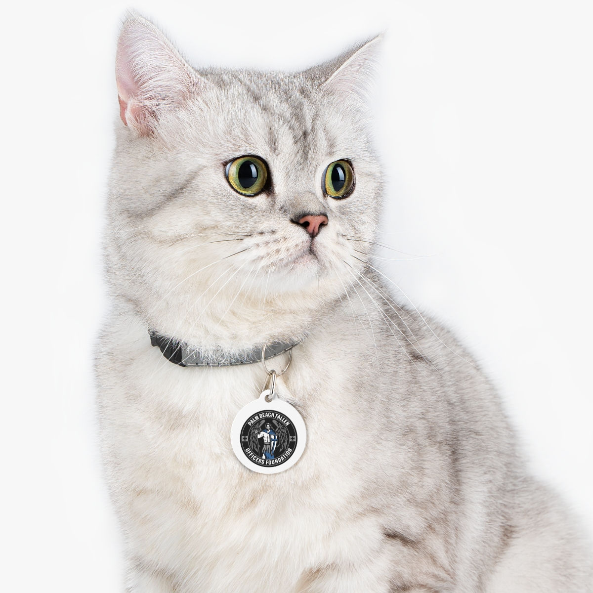 PBFOF Pet Tag White