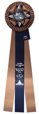 Brown and navy rosette ribbon with a gray center button and long navy streamers with silver printed event text.