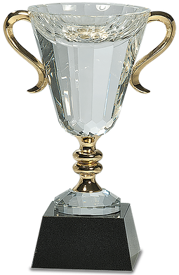 Custom Crystal Award Cup in Gold