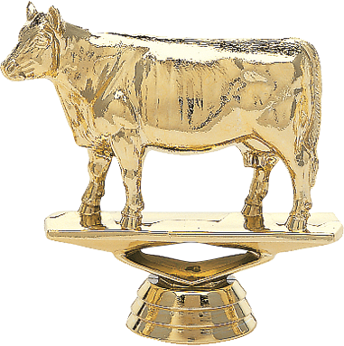 Beef Cow