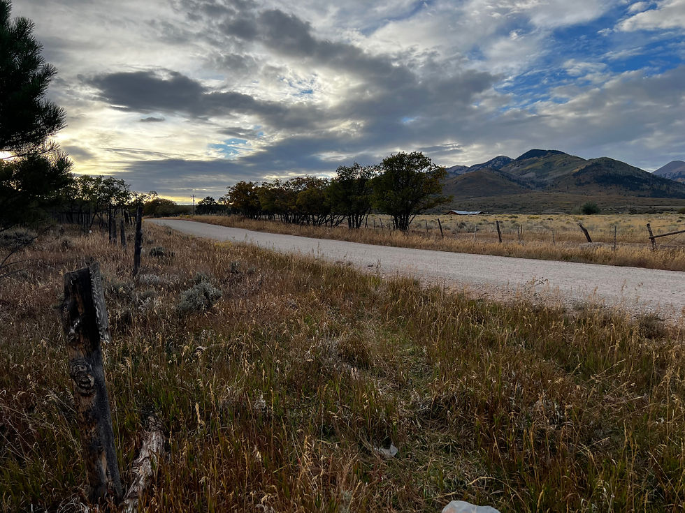 Gravel road through dry grassland with fence posts and trees, mountains in distance under dramatic cloudy blue sky.