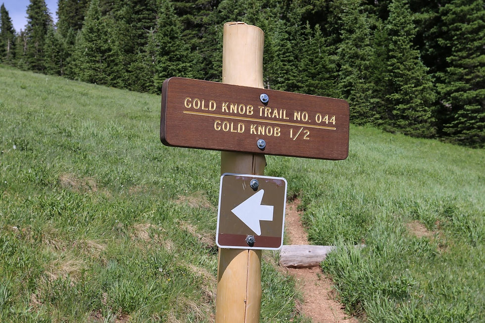 The sign is for the Gold Knob trail head marker. The sign has an arrow pointing left. The backdrop is a mountain, green grass hill, and a forest of pine evergreen trees are in the background. It gives the trail number according to the forest service and tells how far the hike is.