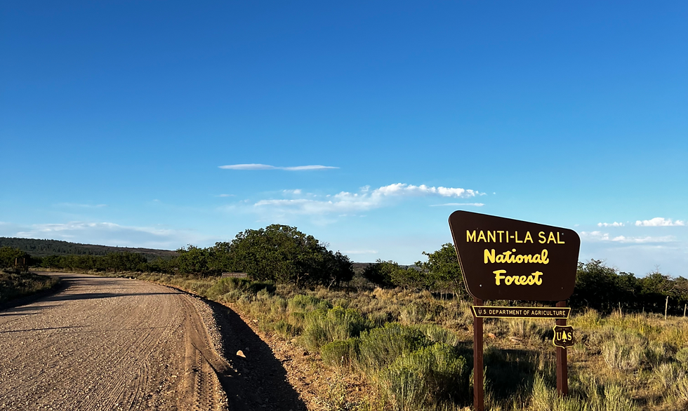 Dirt road beside Manti-La Sal National Forest sign under a bright blue sky, with shrubs and trees nearby.