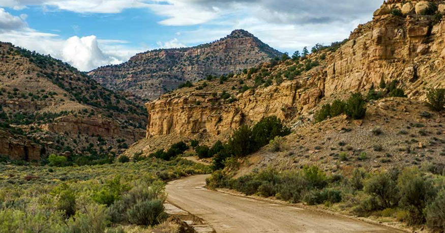 Winding dirt road through a rocky desert canyon with tan cliffs, sparse shrubs, and a cloudy blue sky.