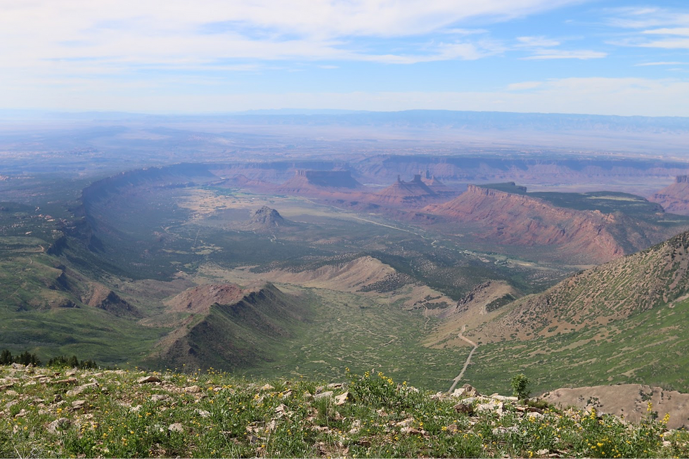 Wide canyon valley with red cliffs and green slopes under a blue sky, seen from a rocky overlook with wildflowers