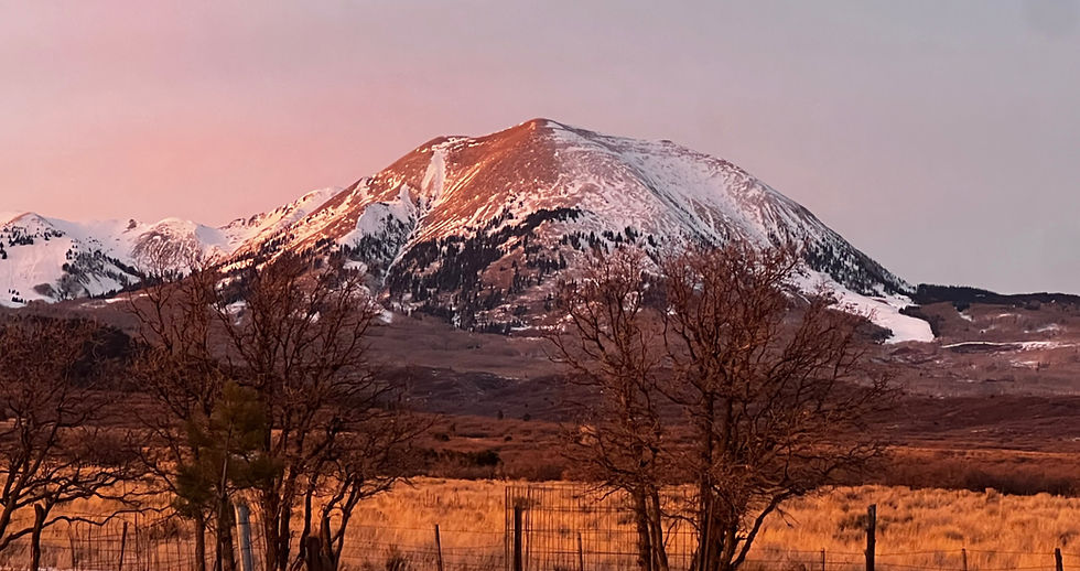 Snow-capped mountain with sunset glow, surrounded by bare trees and golden grass. Pink skies hint at a tranquil evening.