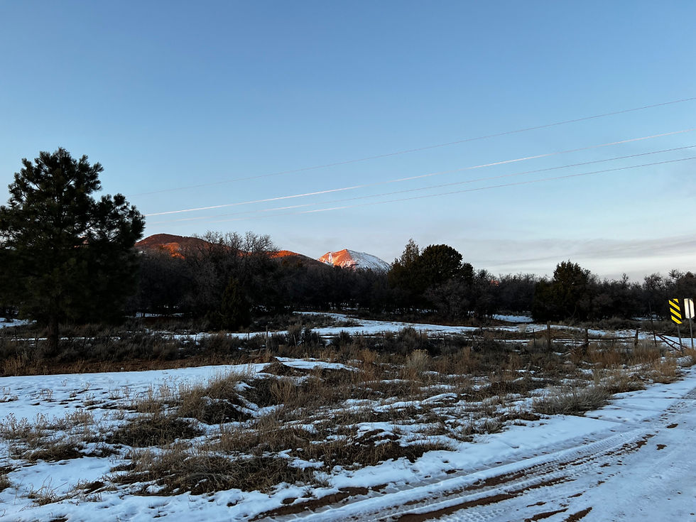 Snow-covered ground with trees and mountains at sunset. Sky is blue, with a road in the foreground and a yellow sign on the right. Calm mood.