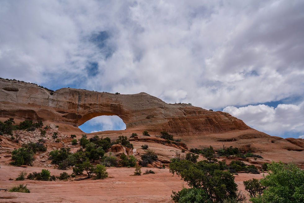 Wilson arch, it's made of red rock. Sitting under a partly cloudy sky, with random green juniper trees in the foreground.