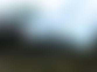 Roadside sign reading "Old Lasal" against a cloudy sky and surrounded by pine trees. A curved road and shrubs are visible below the sign.