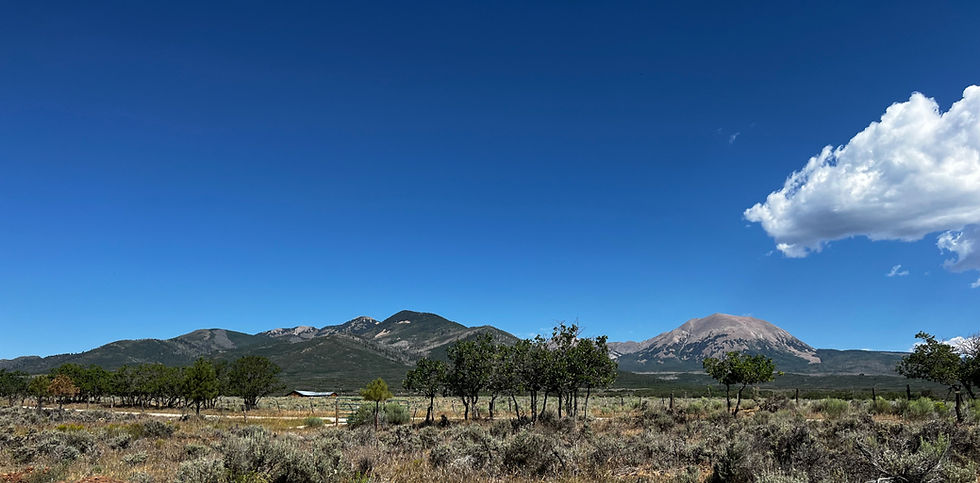 Wide landscape of mountains and scrubby field under a vivid blue sky with a single white cloud and scattered trees