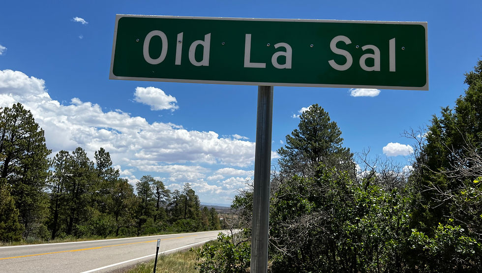 Green Old La Sal road sign beside a winding rural highway under a bright blue sky with pine trees and clouds.