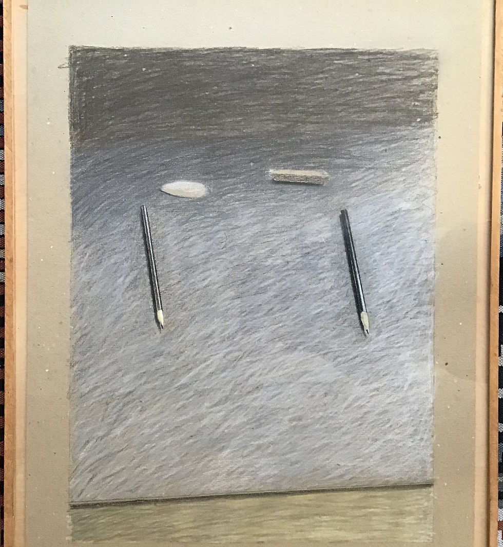 Leon Tebbe - Drawing pastel on Cardboard 'Lithopotloden en Puimsteentjes'