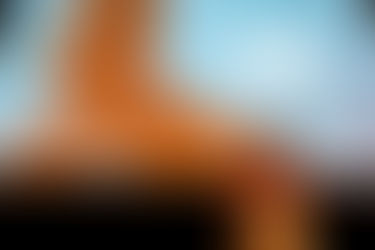 Toronto Film Week proudly announces the award winners of its 2026 edition.