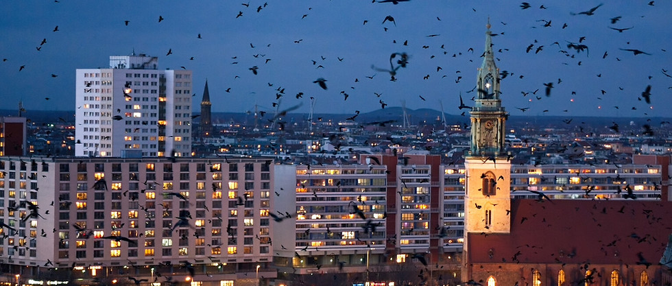Harder! Faster! Louder! – Crows! Fireworks! Berlin! .jpg