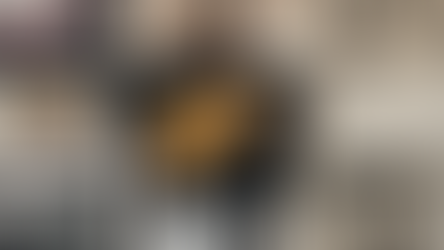 De kat als muze – Eclectische kunstcollectie van Roger Laute in Galerie S&H De Buck