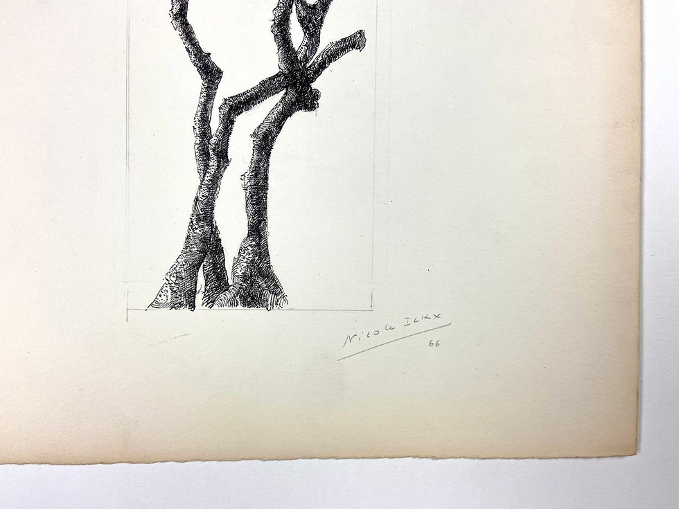Thumbnail: Nicole Ickx (1924-2017) - Tree Studies