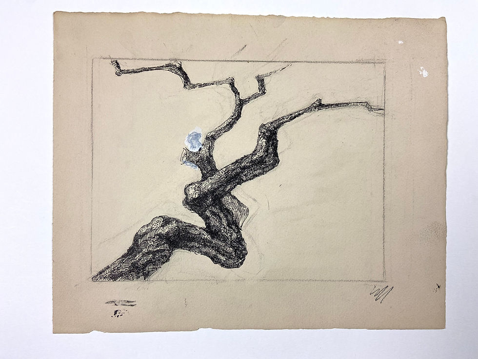 Thumbnail: Nicole Ickx (1924-2017) - Tree Studies