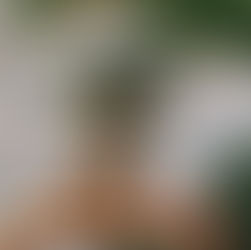 Bram Eliaert 'bronzen sculpturen'