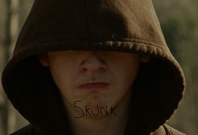 Projectvisual_Skunk.jpeg