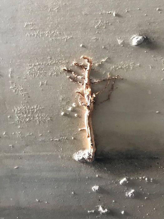 Thumbnail: Marto - Painting 'Dana sofa'