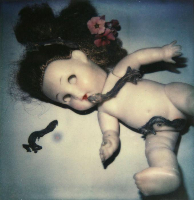 Nobuyoshi Araki Still life Polaroid Photography Signed Buy art online Gallery Affordable art Europe Belgium Japanese
