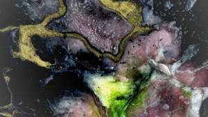 Feeling What Cannot Be Explained, an Interview with Karlijn Reynaerts on Beproeven