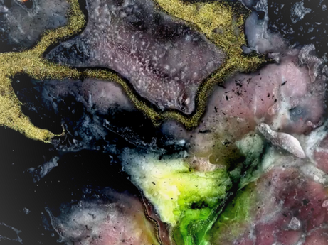 Feeling What Cannot Be Explained, an Interview with Karlijn Reynaerts on Beproeven