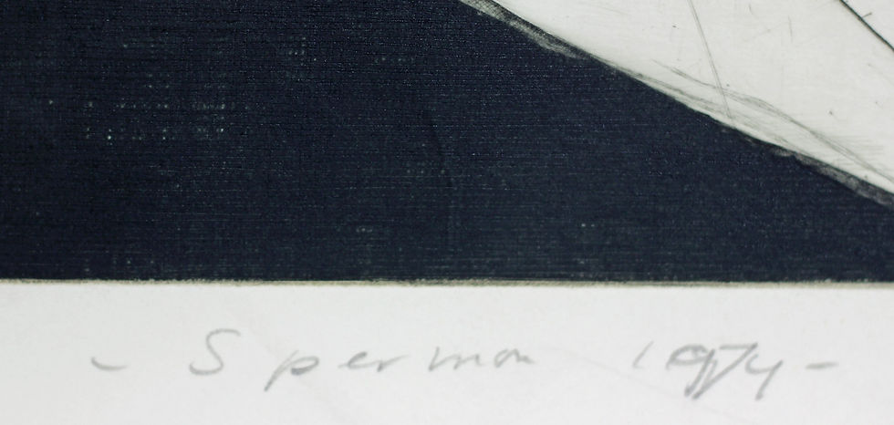 Thumbnail: Kees Spermon - 'Hotelkamer Parijs' - 1968 Hand Signed Etching