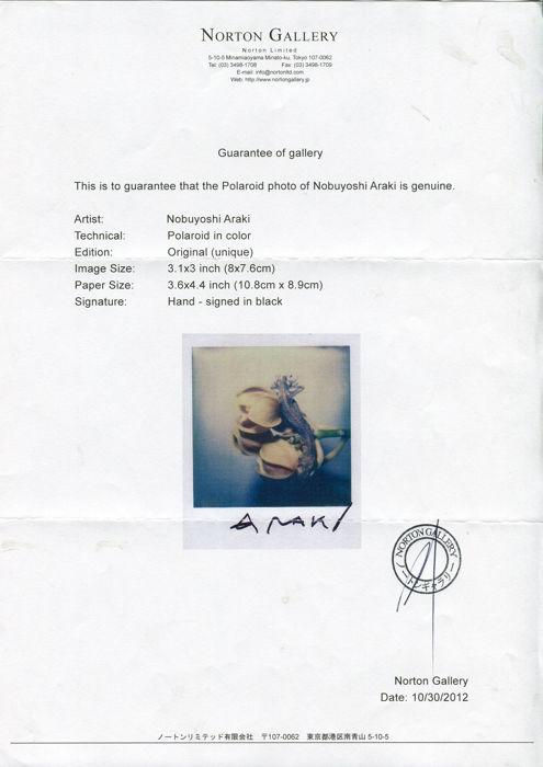 Thumbnail: Nobuyoshi Araki Still life Polaroid Photography Signed Buy art online Gallery Affordable art Europe Belgium Japanese