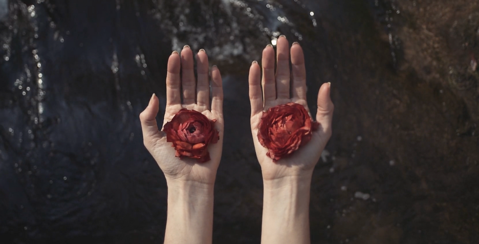 Body, Nature and Connection: PORTALS Comes to NewCinema/Shorts+