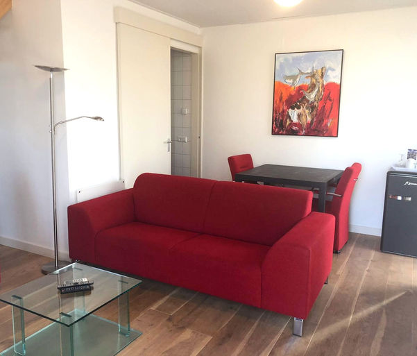 Bed and breakfast De Biesbosch Drimmelen in 't riet, woonkamer