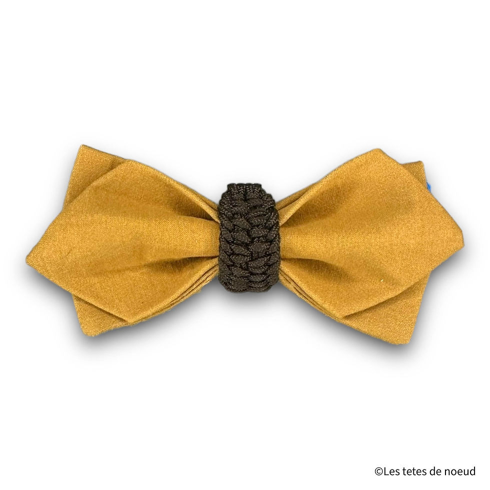 Noeud papillon Moutarde et centre tressé brun